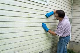 Best Siding Painting and Refinishing  in Marlene Village, OR